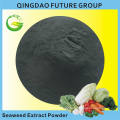 Fertilizante orgánico 100% soluble Ascophyllum Nodosum Extracto Fertilizante (EXTRACTO AL AGUA)